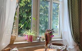 Cozy Small Apartment